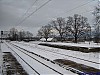 2008_11_24_16_19_00_goleszow-02.jpg
