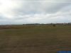 2016-01-31_13-01-51_Kozlowo.jpg